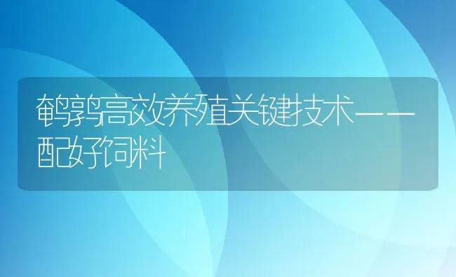 鹌鹑高效养殖关键技术－－配好饲料 | 动物养殖饲料