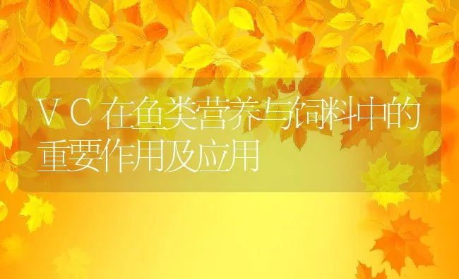 VC在鱼类营养与饲料中的重要作用及应用 | 动物养殖学堂