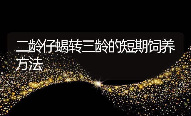 二龄仔蝎转三龄的短期饲养方法 | 动物养殖学堂
