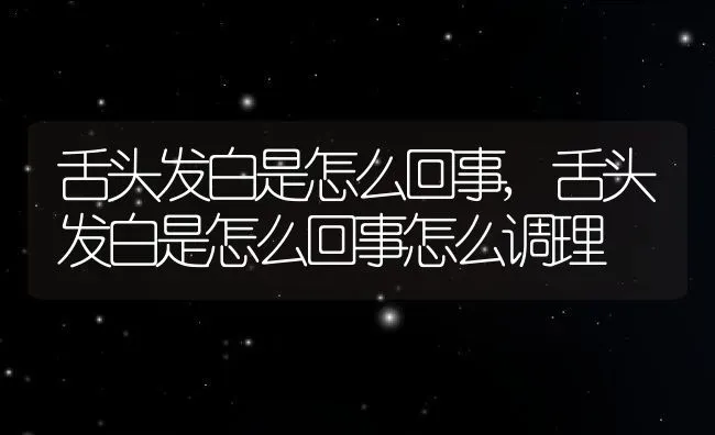 舌头发白是怎么回事,舌头发白是怎么回事怎么调理 | 宠物百科知识