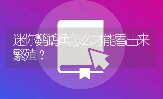 迷你鹦鹉鱼怎么才能看出来繁殖？ | 鱼类宠物饲养