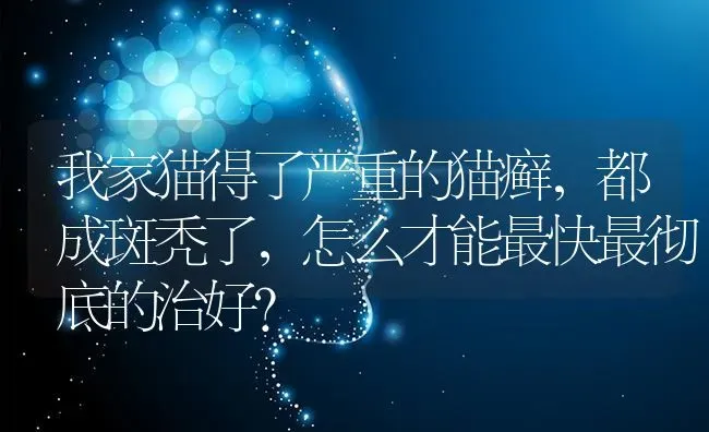 狗狗得细小过七天存活率多大？ | 动物养殖问答