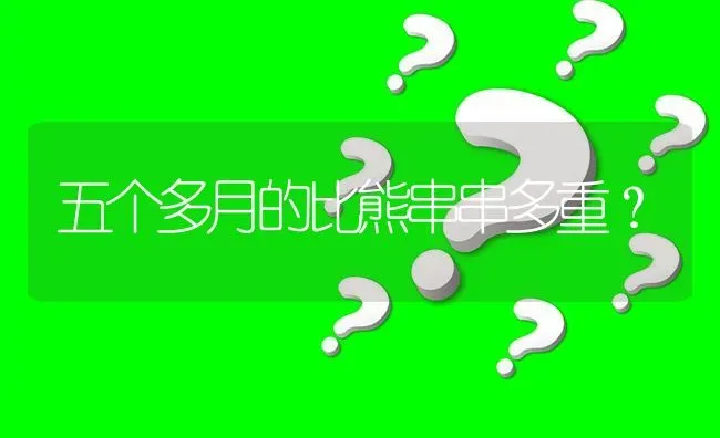 阿富汗猎犬基础知识？ | 动物养殖问答