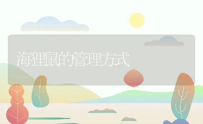 海狸鼠的管理方式 | 动物养殖教程