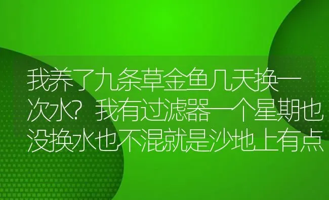 我养了九条草金鱼几天换一次水?我有过滤器一个星期也没换水也不混就是沙地上有点鱼便便？ | 鱼类宠物饲养