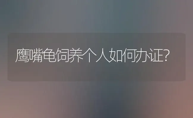 鹰嘴龟饲养个人如何办证？ | 动物养殖问答