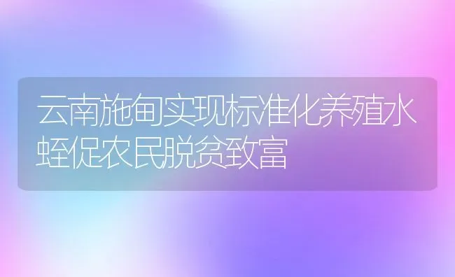 云南施甸实现标准化养殖水蛭促农民脱贫致富 | 动物养殖教程