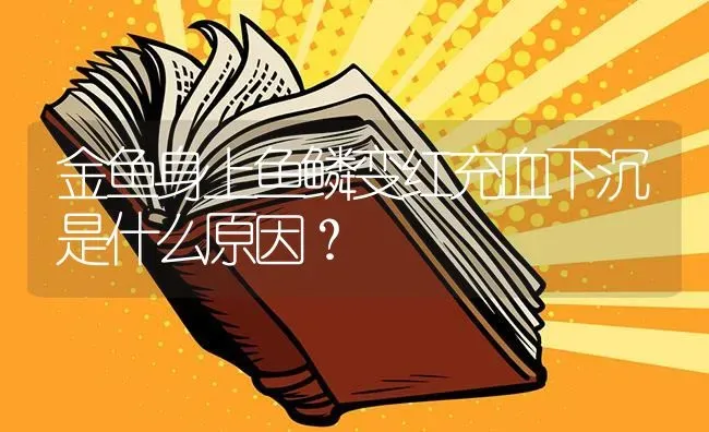 金鱼身上鱼鳞变红充血下沉是什么原因？ | 鱼类宠物饲养