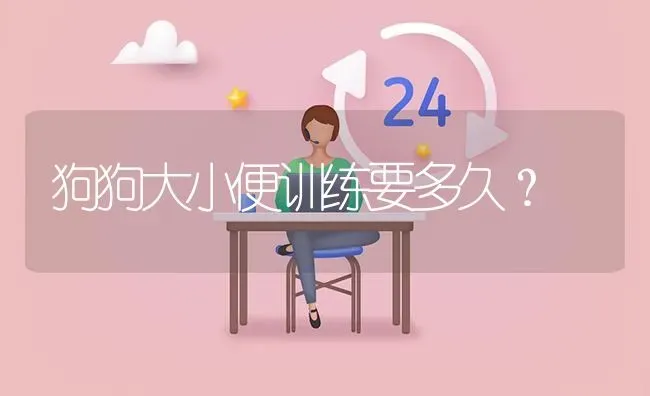 狗狗大小便训练要多久？ | 动物养殖问答