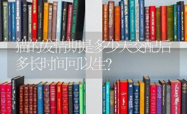 猫的发情期是多少天交配后多长时间可以生？ | 动物养殖问答