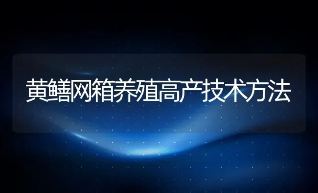 黄鳝网箱养殖高产技术方法 | 动物养殖百科