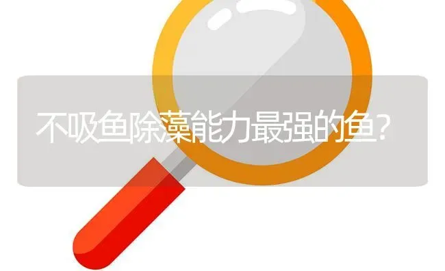 不吸鱼除藻能力最强的鱼？ | 鱼类宠物饲养