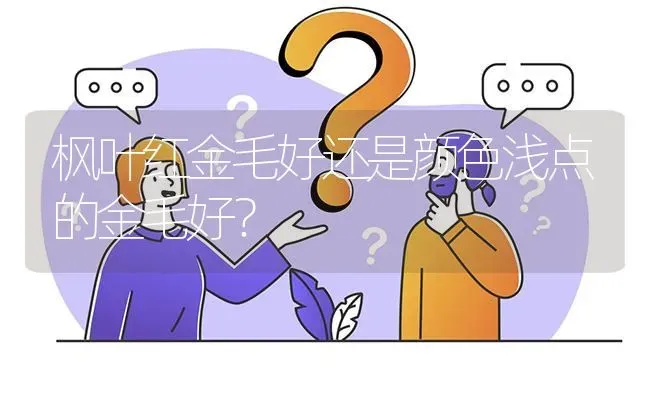 枫叶红金毛好还是颜色浅点的金毛好？ | 动物养殖问答