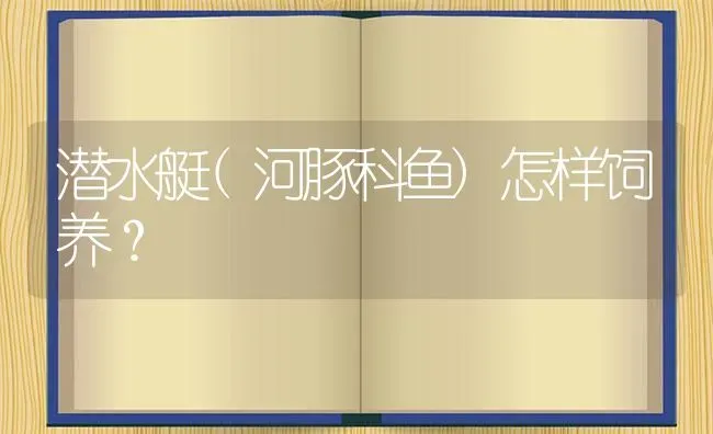 潜水艇(河豚科鱼)怎样饲养？ | 鱼类宠物饲养