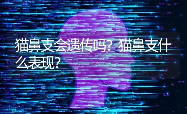 猫鼻支会遗传吗？猫鼻支什么表现？ | 动物养殖问答