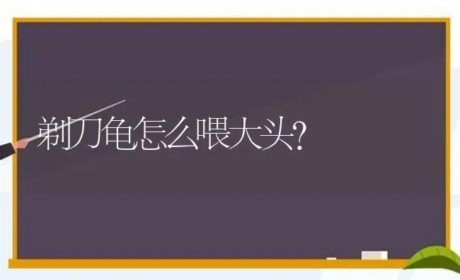 八卦掌谱详解？ | 动物养殖问答