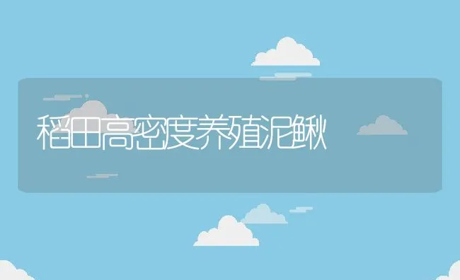 稻田高密度养殖泥鳅 | 动物养殖饲料
