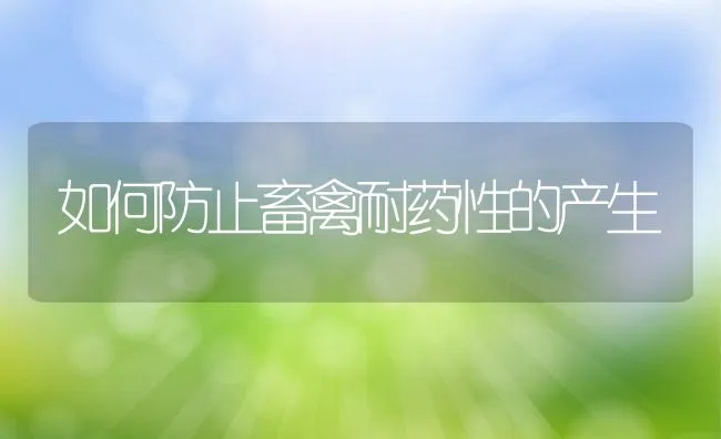 如何防止畜禽耐药性的产生 | 动物养殖学堂