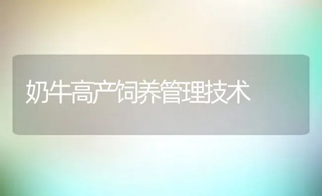 奶牛高产饲养管理技术 | 动物养殖教程