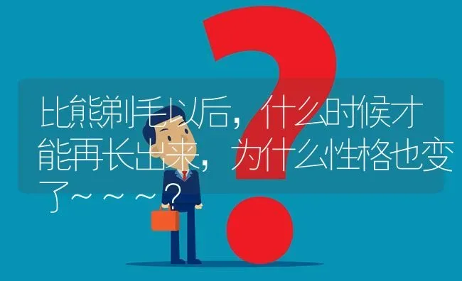 比熊剃毛以后，什么时候才能再长出来，为什么性格也变了~~~？ | 动物养殖问答