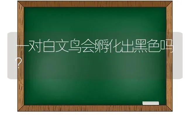 印度星龟能长多大体长30-38公分？ | 动物养殖问答