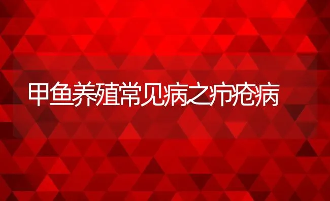 甲鱼养殖常见病之疖疮病 | 动物养殖学堂