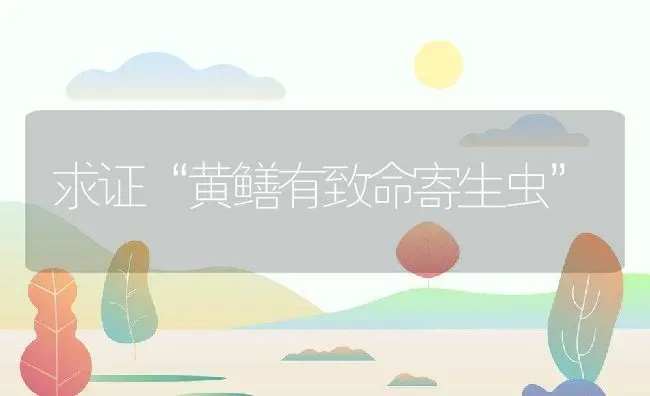 求证“黄鳝有致命寄生虫” | 动物养殖百科