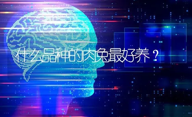 什么品种的肉兔最好养？ | 动物养殖问答