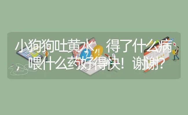 小狗狗吐黄水，得了什么病，喂什么药好得快！谢谢？ | 动物养殖问答