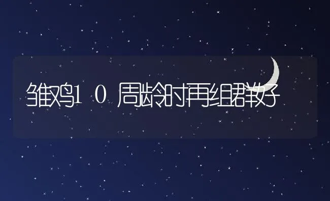 加州鲈养殖技术及病害防治 | 海水养殖技术