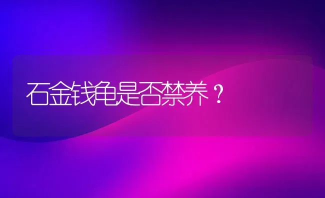 石金钱龟是否禁养？ | 动物养殖问答