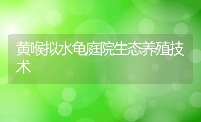 黄喉拟水龟庭院生态养殖技术 | 水产养殖知识