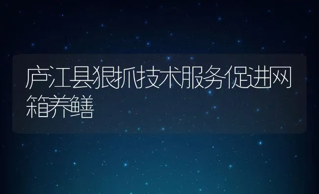 庐江县狠抓技术服务促进网箱养鳝 | 水产养殖知识