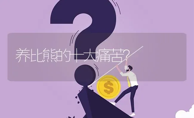 养比熊的十大痛苦？ | 动物养殖问答