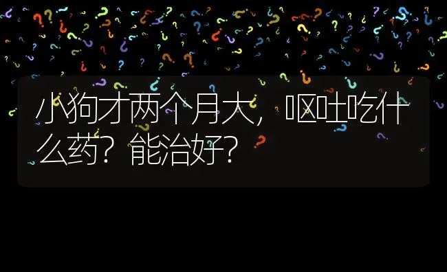 小狗才两个月大，呕吐吃什么药？能治好？ | 动物养殖问答