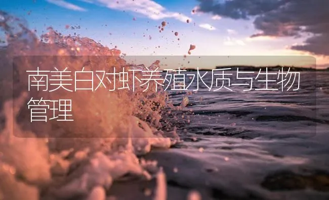 南美白对虾养殖水质与生物管理 | 海水养殖技术