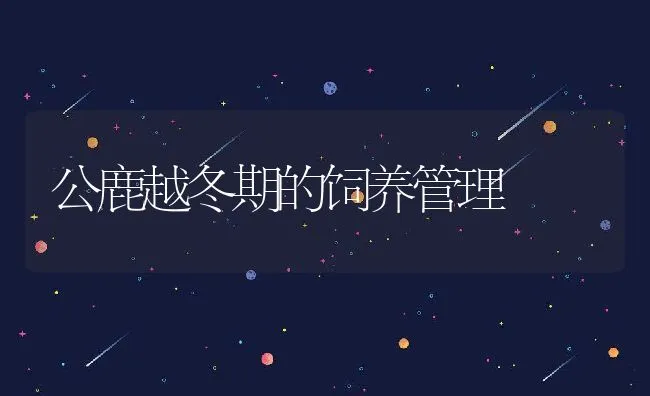 兔毛贮存有窍门 | 动物养殖学堂