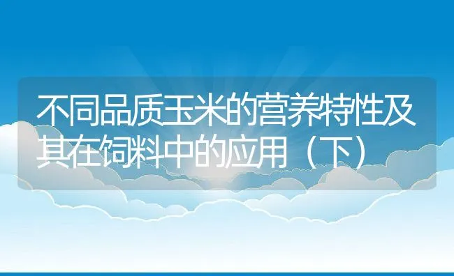 不同品质玉米的营养特性及其在饲料中的应用（下） | 动物养殖学堂