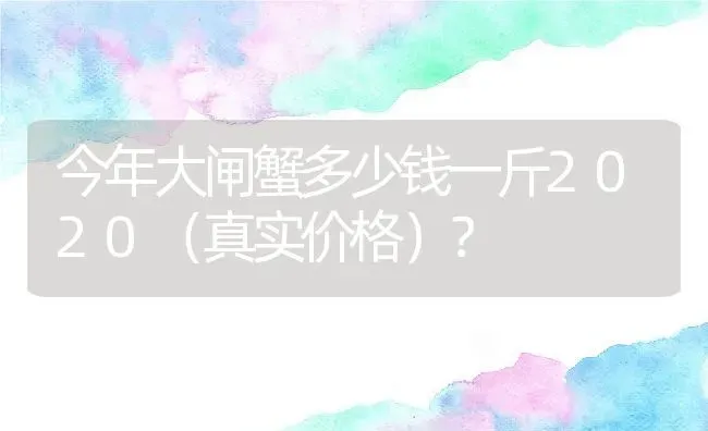 今年大闸蟹多少钱一斤2020（真实价格）？ | 动物养殖百科