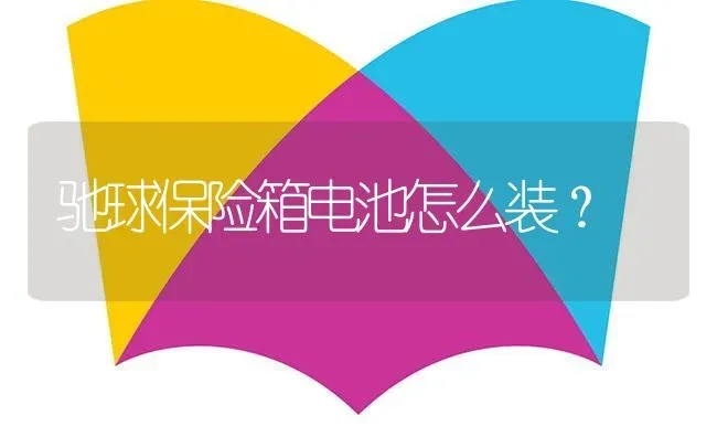 驰球保险箱电池怎么装？ | 鱼类宠物饲养