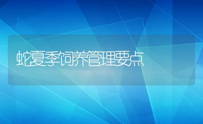 蛇夏季饲养管理要点 | 水产养殖知识