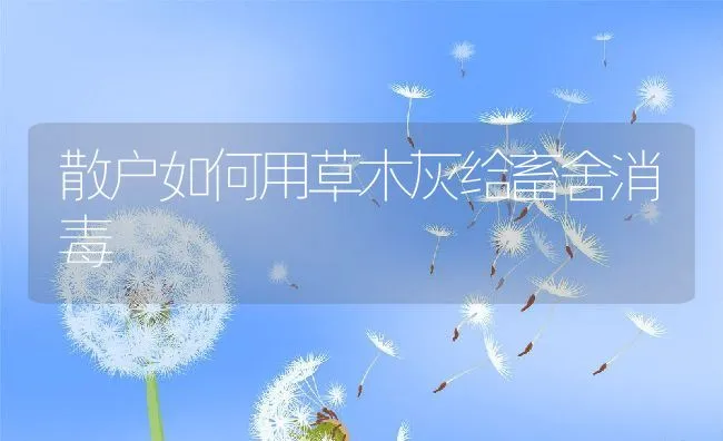 罗非鱼链球菌疫苗还需较长时间才能大范围推广 | 海水养殖技术