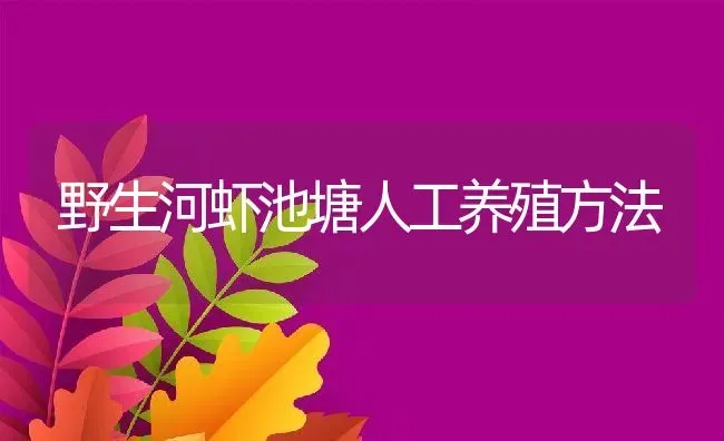 野生河虾池塘人工养殖方法 | 动物养殖教程