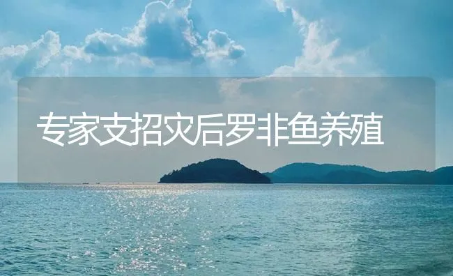 专家支招灾后罗非鱼养殖 | 海水养殖技术