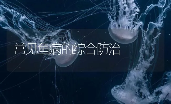 常见鱼病的综合防治 | 海水养殖技术