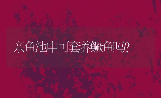 稻田高效养殖蟾蜍技术 | 动物养殖学堂