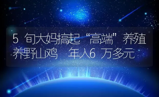 5旬大妈搞起“高端”养殖养野山鸡 年入6万多元 | 动物养殖教程