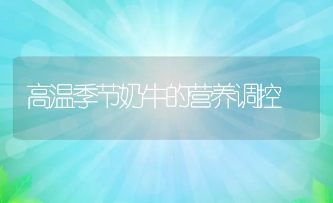 母兔缺奶该咋办？ | 动物养殖学堂