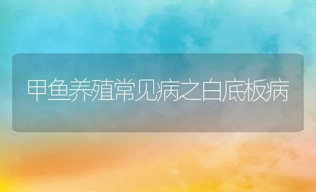 甲鱼养殖常见病之白底板病 | 水产养殖知识