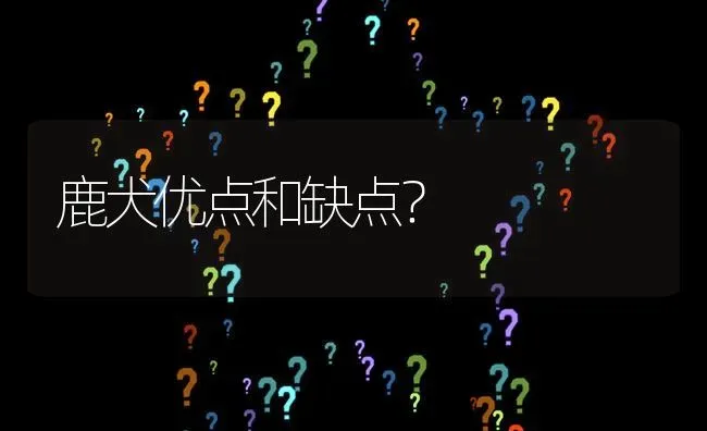 鹿犬优点和缺点？ | 动物养殖问答
